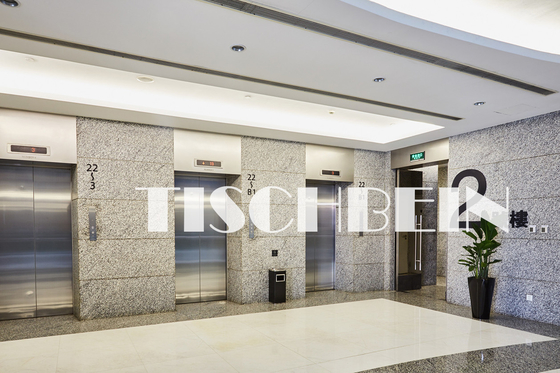 1500kg 1600kg 2000kg Passenger Elevator 2m/s 4m/s Speed For Hotel Residential Building Office Building Shopping Mall