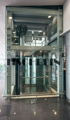 High Building Panoramic Glass Lift