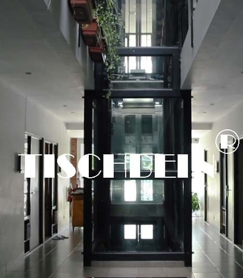 1.75m/s Traction Panoramic Elevator With Hairline St St For Hotel Building Office Shopping Mall