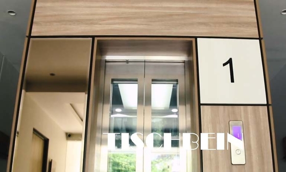 1.75m/s Traction Panoramic Elevator With Hairline St St For Hotel Building Office Shopping Mall