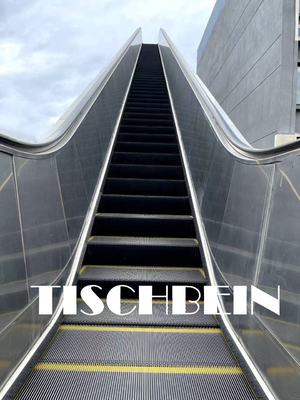 600mm 800mm 1000mm Commercial Escalator with Hot-dip Galvanizing Truss Stainless Steel Step 304 St. St. Decoration