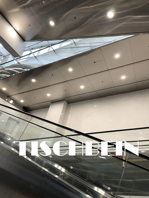 30° 35° Inclination Stainless Steel Step Hotel Escalator With Rubber Handrail For Railway Station Airport Hospital