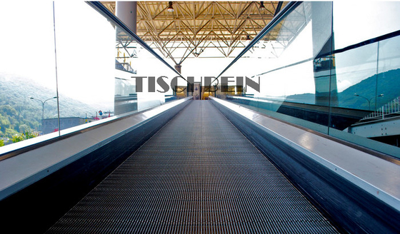 0° -12° Indoor Outdoor 800mm 1000mm Pallet Width Moving Walk Hot-dip Galvanized Truss For Railway Station Subway etc