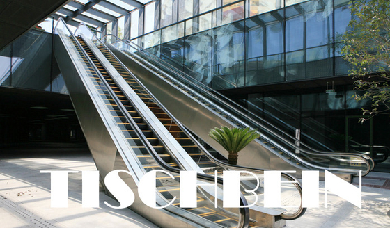 30° Outdoors Anti-corrosion Public Type Transport Escalator Hot-dip Galvanized Truss For Railway Station Airport Subway