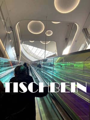 30° Outdoors Anti-corrosion Public Type Transport Escalator Hot-dip Galvanized Truss For Railway Station Airport Subway