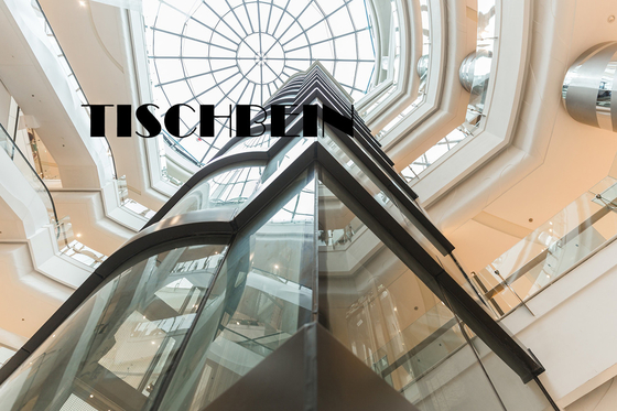3 Sides Glass Wall VVVF Drive Panoramic Elevator 2.0m/s Observation Elevator For Hotel Shopping Mall