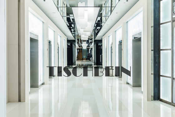 2.5m/s 5m/s  IP40 Fire Rated EI120 Hours Passenger Lift 1250kg 1350kg 1600kg 2000kg Capacity Non-touch COP For Hotel