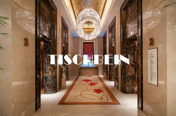 1500kg 1600kg 2000kg Passenger Elevator 2m/s 4m/s Speed For Hotel Residential Building Office Building Shopping Mall