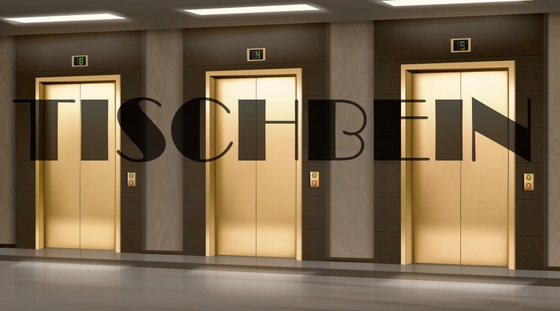 1500kg 1600kg 2000kg Passenger Elevator 2m/s 4m/s Speed For Hotel Residential Building Office Building Shopping Mall