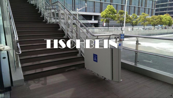 Safe Landing Residential Wheelchair Inclined Platform Lift Shopping Mall Low Noise Easy to Operate